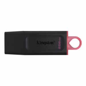 KINGSTON DataTraveler Exodia 256GB USB 3.2 Gen1 (DTX/256GB) USB ključ