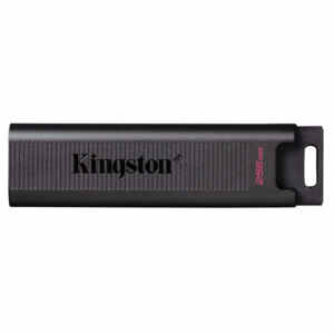KINGSTON DataTraveler MAX 256GB USB 3.2 gen2 Type-C 1000MB/s (DTMAXA/256GB) USB ključ