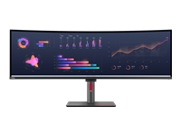 LENOVO ThinkVision P49w-30 49inch TS