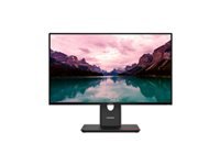 LENOVO ThinkVision T24-40 23.8inch TS