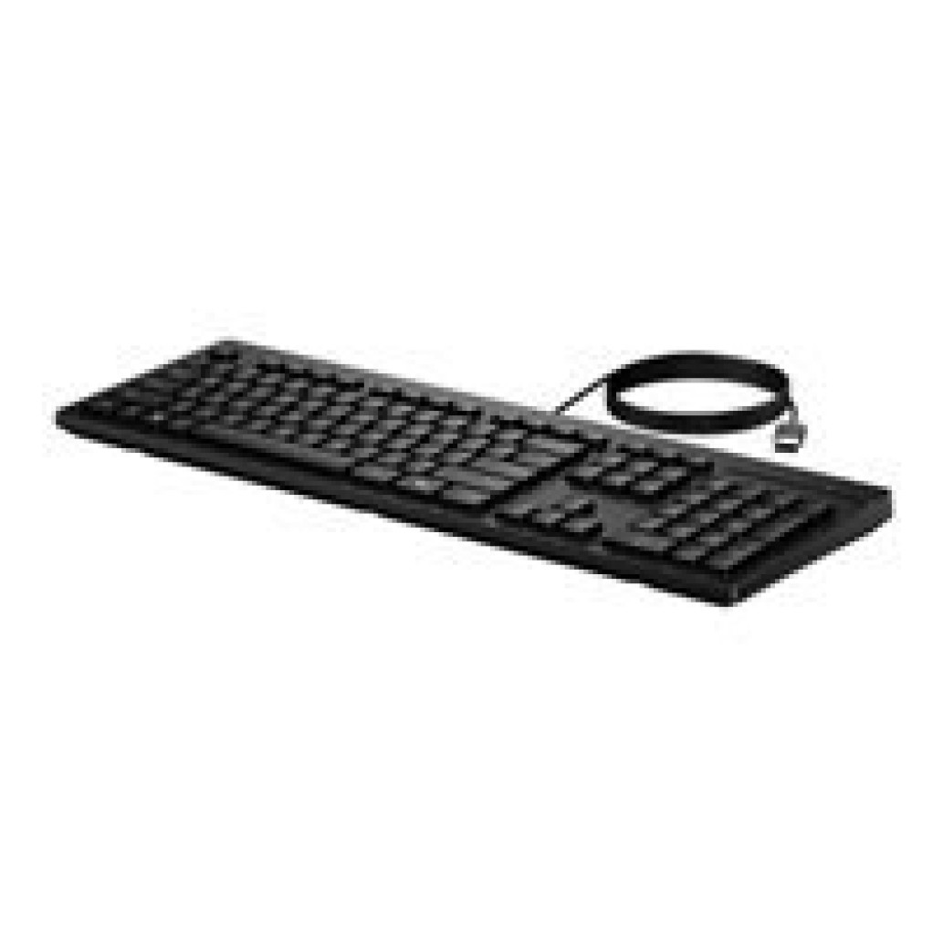 Tipkovnica USB HP 125-G2 SLO | Slovenski nabor znakov črna (AY2Y7AA#BED)
